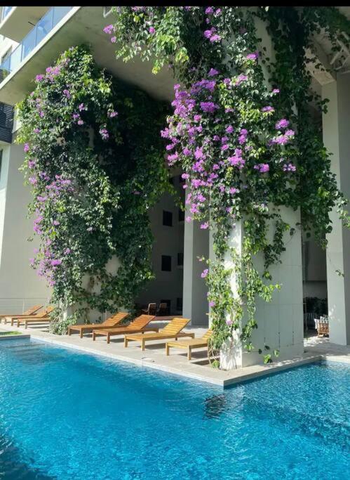 Charming Zen-Style Beach Apartment At Punta Caelo San Carlos Luaran gambar